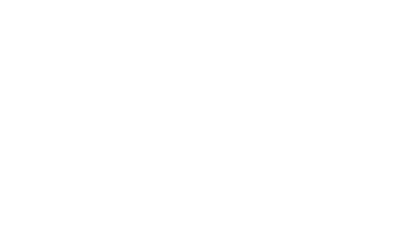 Timmy Hayes Moving Logo