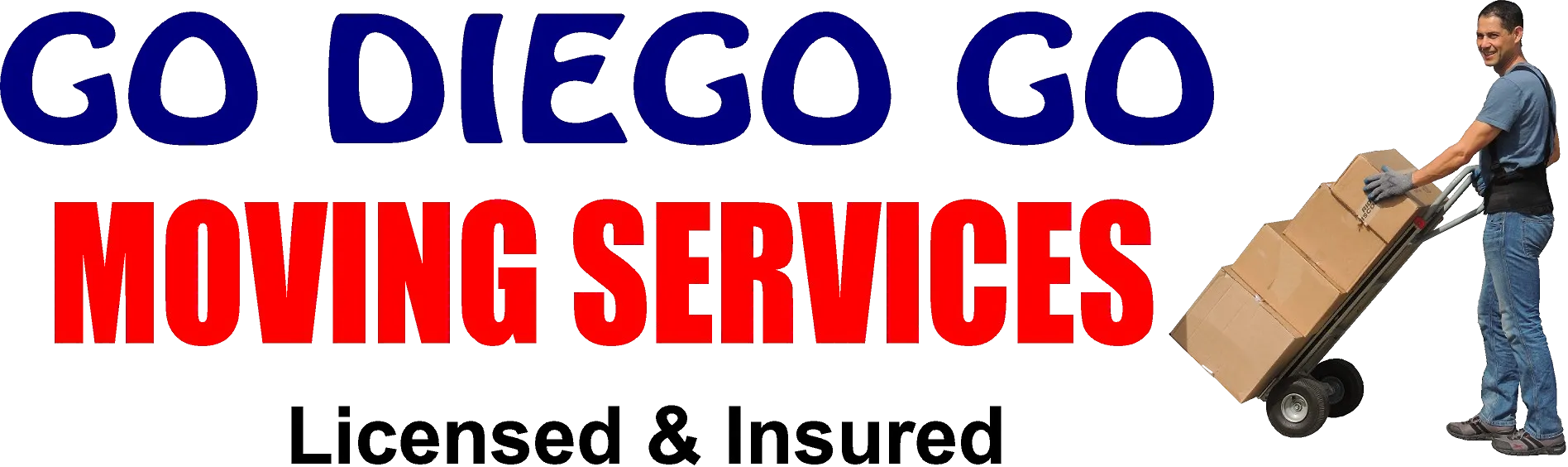 GO DIEGO GO SERVICES LLC Logo