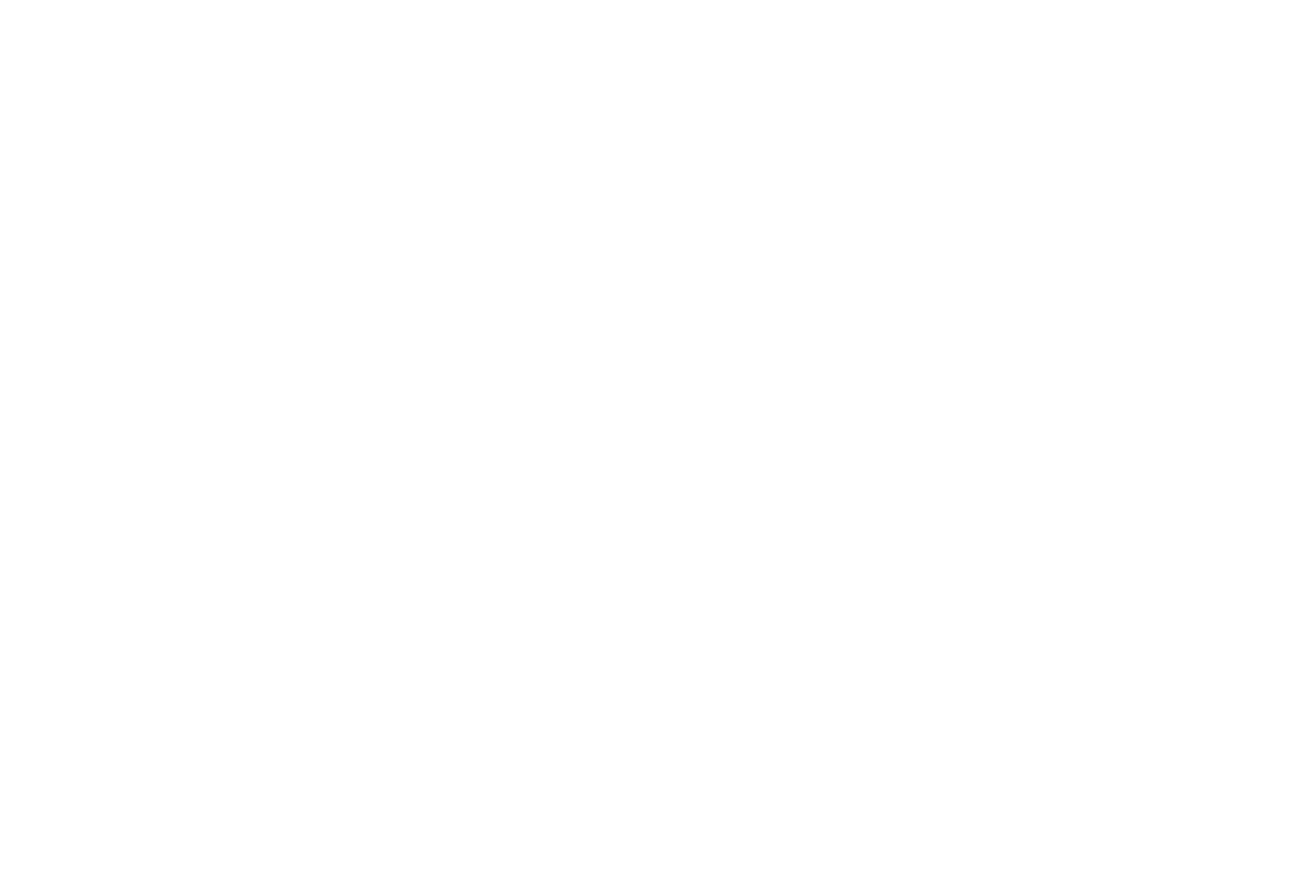 The Dudes Moving Co. - Professional Movers logo