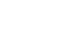 Peluso Movers Logo